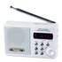 Портативная колонка Perfeo Dual Band Sound Ranger 2Вт+сабвуфер, FM+УКВ, MP3-плеер, белая