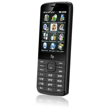 Мобильный телефон Fly TS113 Black