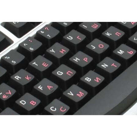 Клавиатура Genius KB-200 Multimedia Silver PS/2