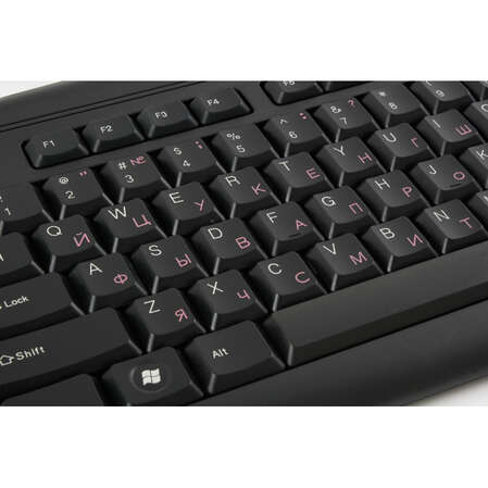 Клавиатура Genius KB-202 Black USB