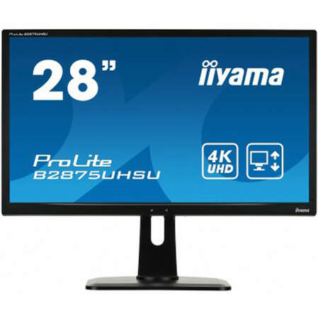 Монитор 28" Iiyama ProLite B2875UHSU-B1 TN 3840x2160 1ms DVI, HDMI, DisplayPort, VGA