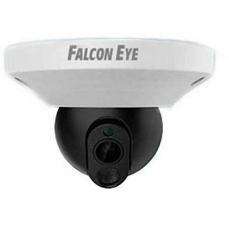 Falcon Eye FE-IPC-DWL200P цветная