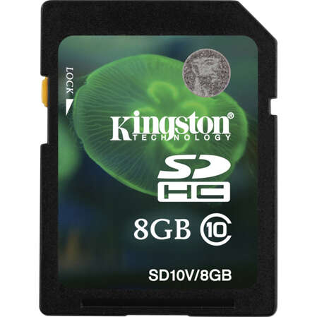SecureDigital 8Gb Kingston Class10 (SD10V/8GB)