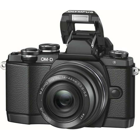 Зеркальная фотокамера Olympus OM-D E-M10 Kit 14-42 black