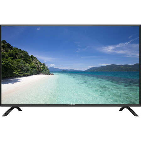 Телевизор 49" Thomson T49D21SF-01B (Full HD 1920x1080, USB, HDMI, VGA) черный