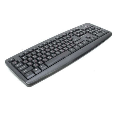 Клавиатура Genius KB-110X Black USB
