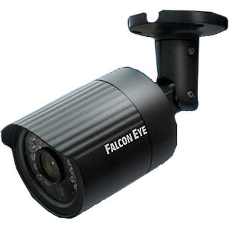 Falcon Eye FE-IPC-BL100P цветная