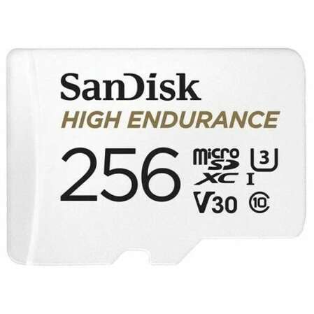 Карта памяти Micro SecureDigital 256Gb SanDisk MAX Endurance microSDXC class 10 UHS-1 U3 V30 (SDSQQVR-256G-GN6IA)