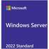 Операционная система Microsoft Windows Svr Std 2022 64bit English 1 pk DSP OEI DVD 24 Core P73-08346