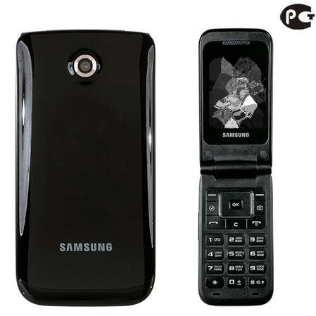 Смартфон Samsung E2530 black (черный)
