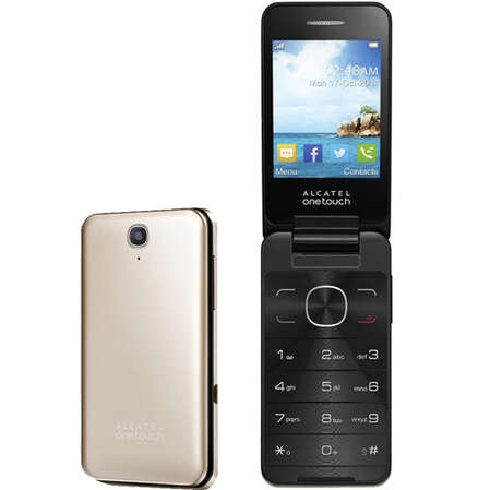 Мобильный телефон Alcatel One Touch 2012D Soft Gold