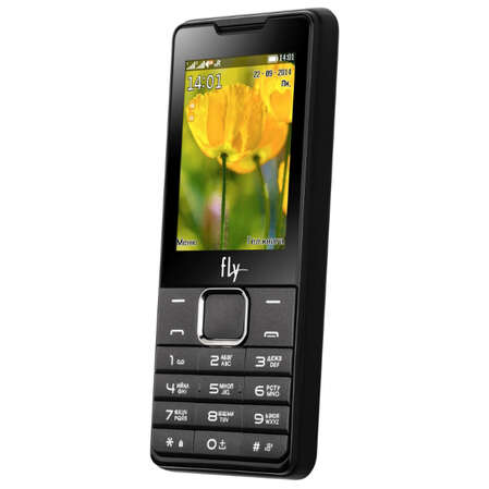 Мобильный телефон Fly DS 116 Black