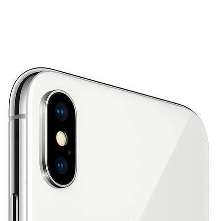 Смартфон Apple iPhone X 256GB Silver (MQAG2RU/A) 