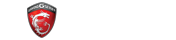 msi_logo.png