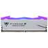 Модуль памяти DIMM 48Gb 2х24Gb DDR5 PC64000 8000MHz Patriot Memory Viper Xtreme 5 RGB Mpower White (PVXR548G80C38KM)