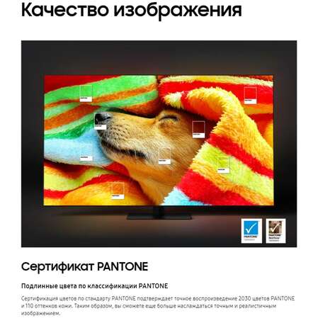Телевизор 50" Samsung QE50Q60DAUXRU 2024 (4K UHD 3840x2160, Smart TV) серый (EAC)