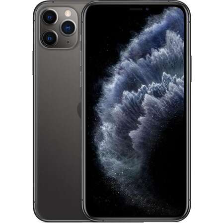 Смартфон Apple iPhone 11 Pro Max 256GB Space Grey (MWHJ2RU/A)