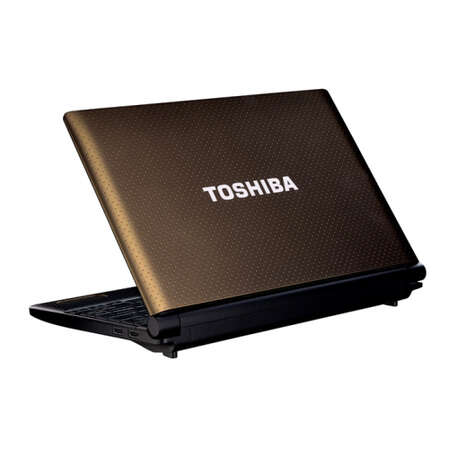 Ноутбук Toshiba Netbook NB550D-10K C-50/1Gb/250GB/DVD/HD 6250/WiFi/BT/Cam/10.1"/Win 7 Starter/Black