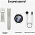 Умные часы Samsung Galaxy Watch 7 SM-L315 44mm LTE Silver (EAC)
