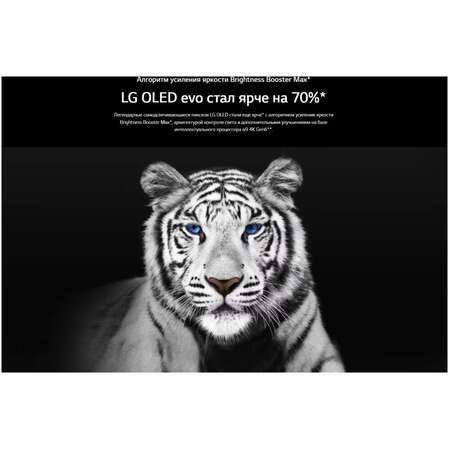 Телевизор 65" LG OLED65G3RLA (4K UHD 3840x2160, Smart TV) серебристый
