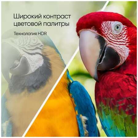 Телевизор 43" Topdevice TDTV43CS05U_BK (4K 3840x2160, SmartTV) черный