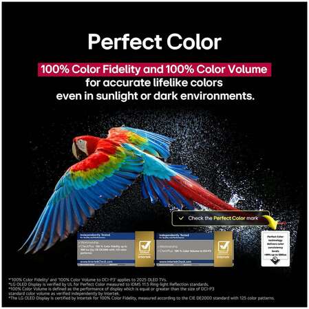 Телевизор 65" LG OLED65B5RLA.ARUG 2025