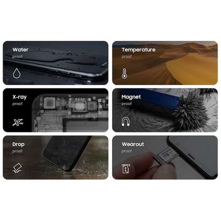 Карта памяти Micro SecureDigital 256Gb SDXC Samsung Evo Plus class10 UHS-I U3 (MB-MC256SA)