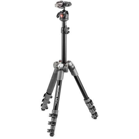 Штатив Manfrotto Befree One MKBFR1A4D-BH Gray с головой