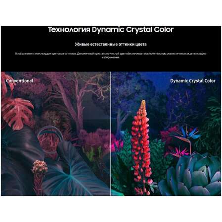 Телевизор 55" Samsung UE55CU8000UXRU (4K UHD 3840x2160, Smart TV) черный (EAC)