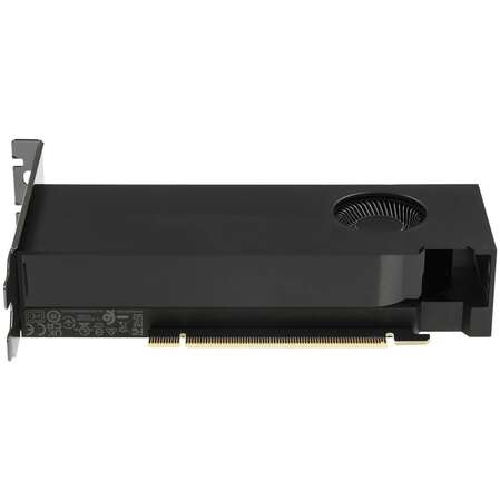 Видеокарта PNY NVIDIA Quadro RTX 2000 ADA (VCNRTX2000ADA-SB) 16Gb