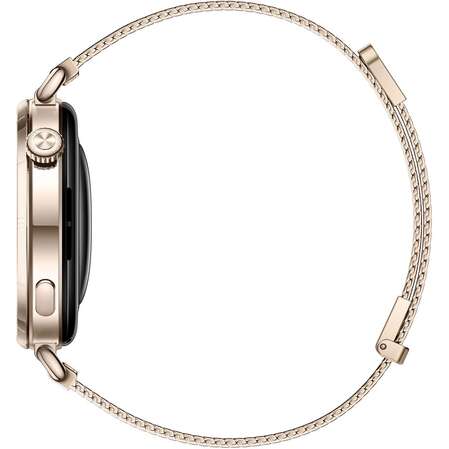Умные часы Huawei Watch GT 6 Gold Milanese