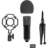 Микрофон  Ritmix RDM-160 Black
