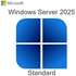 Операционная система Microsoft Windows Svr Std 2025 64bit English 1 pk DSP OEI DVD 24 Core P73-08538
