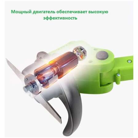 Набор садовых инструментов Zitrek (GreenCut 20, ZKBL20) 2 в 1, 1х2.0Ач, 1х4.0Ач) 082-2021