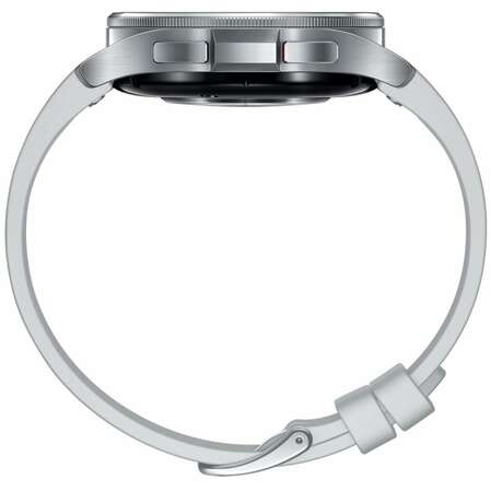 Умные часы Samsung Galaxy Watch 6 SM-R950 43mm Silver (EAC)