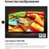 Телевизор 43" Samsung QE43Q60DAUXRU 2024 (4K UHD 3840x2160, Smart TV) серый (EAC)