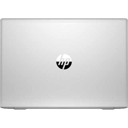 Ноутбук HP ProBook 450 G6 5PP98EA Core i5 8265U/8Gb/1Tb+256Gb SSD/NV MX130 2Gb/15.6" FullHD/Win10Pro Silver