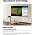 Телевизор 65" Samsung UE65DU8000UXRU 2024 (4K UHD 3840x2160, Smart TV) черный (EAC)