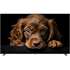 Телевизор 50" Topdevice TDTV50CQ08U_BK (4K 3840x2160, SmartTV) черный
