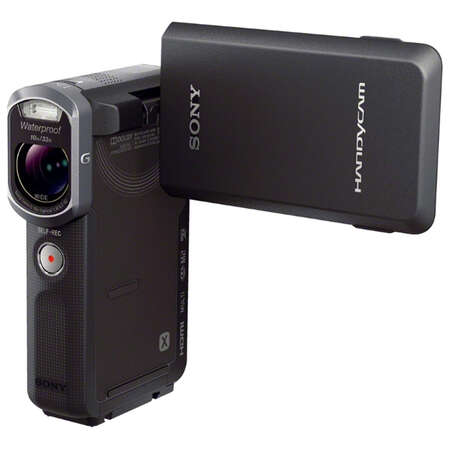 Sony HDR-GW66E черный