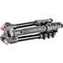 Штатив Manfrotto Befree One MKBFR1A4D-BH Gray с головой