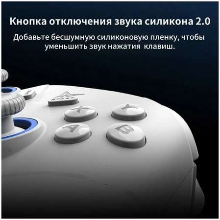 Геймпад Flydigi Direwolf 2 Wireless Grey