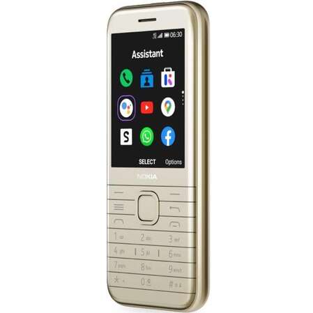 Мобильный телефон Nokia 8000 4G (TA-1303) Gold