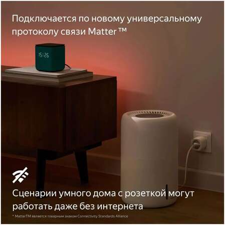 Умная розетка Яндекс, Matter, черный