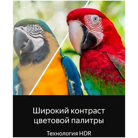 Телевизор 50" Topdevice TDTV50CQ08U_BK (4K 3840x2160, SmartTV) черный