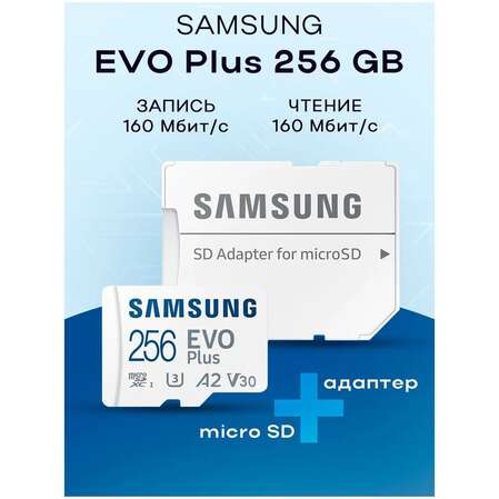 Карта памяти Micro SecureDigital 256Gb SDXC Samsung Evo Plus class10 UHS-I U3 (MB-MC256SA)