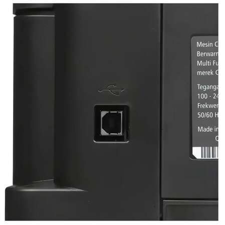 МФУ Canon Pixma G2010 цветное А4