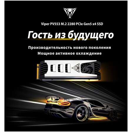 Внутренний SSD-накопитель 1000Gb Patriot Memory Viper PV553 PV553P1TBM28H  M.2 2230 PCIe NVMe 5.0 x4