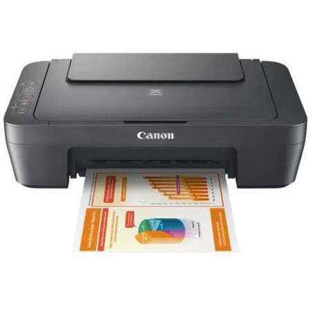 МФУ Canon Pixma MG2546S цветное А4