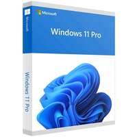 Microsoft Windows 11 Pro 64-bit Eng International USB (HAV-00162) BOX